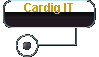  Cardig IT 